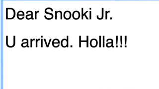 Snooki’s Scary Life as a Mom, Google Chrome Style